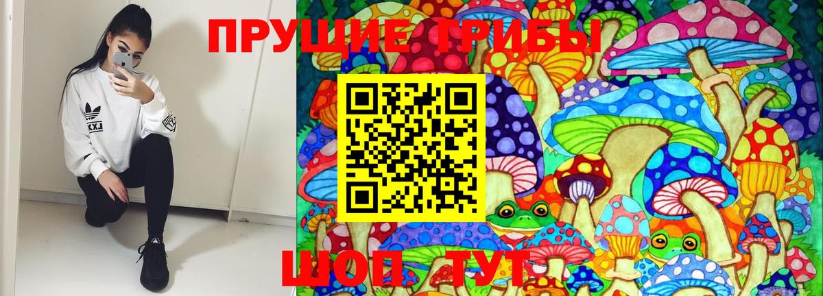 Галлюциногенные грибы Psilocybine cubensis Южно-Сахалинск