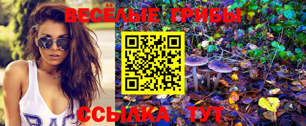 Псилоцибиновые грибы прущие грибы  Галлюциногенные грибы ЛСД  купить наркотики сайты  Вход с VPN  Южно-Сахалинск 